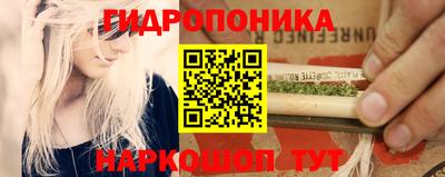 трава Гусиноозёрск
