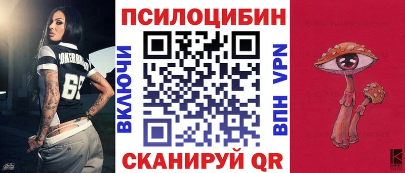 купить   Знаменск  Псилоцибиновые грибы Psilocybe 