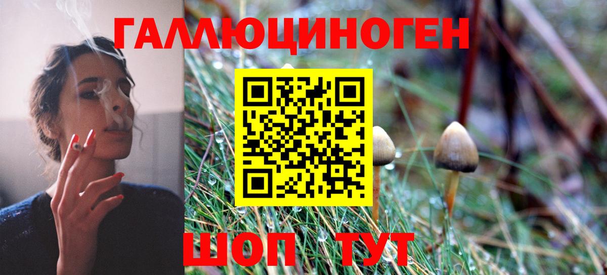 Псилоцибиновые грибы прущие грибы  Псилоцибиновые грибы мицелий  дарнет шоп  Вход с VPN  Знаменск 