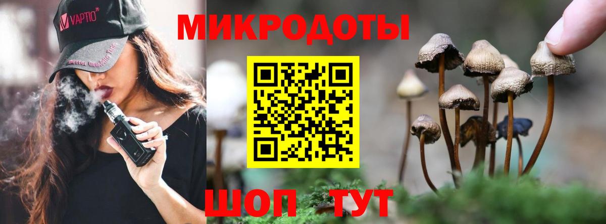 Псилоцибиновые грибы GOLDEN TEACHER Знаменск